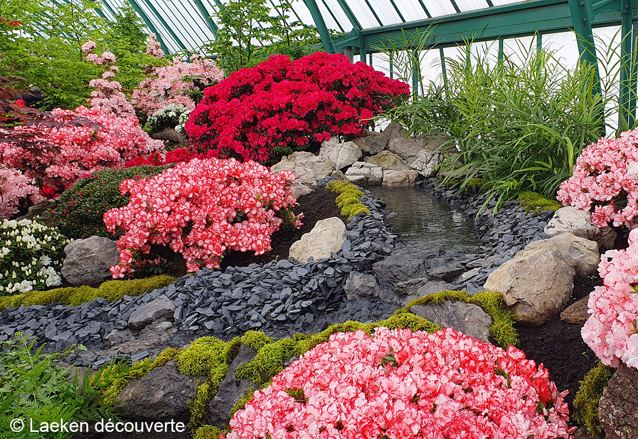 fotoreeks Visit the Royal Greenhouses of Laeken 