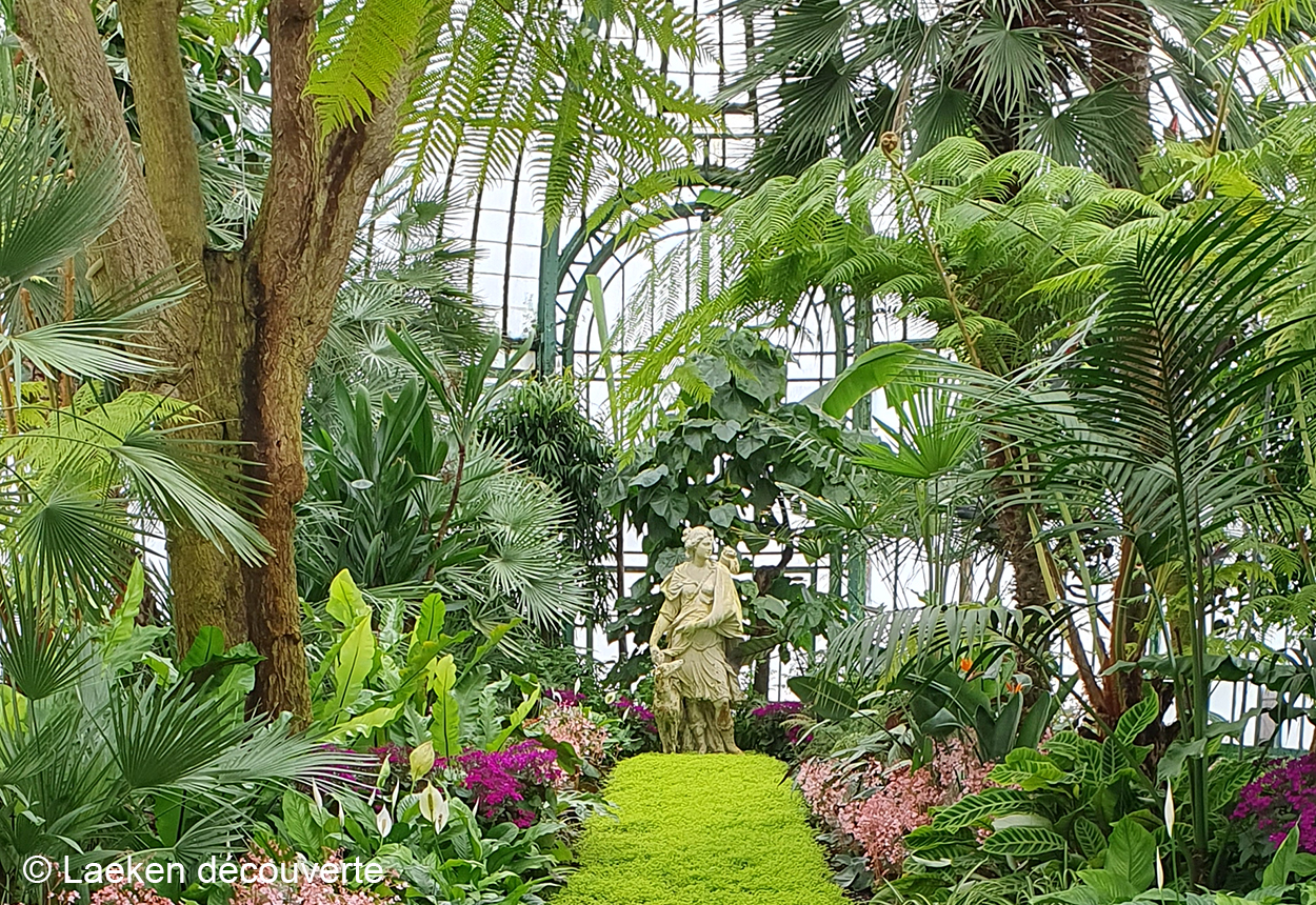 fotoreeks Visit the Royal Greenhouses of Laeken 